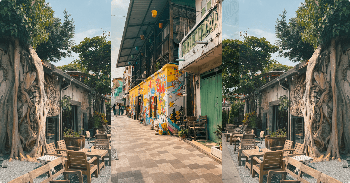 Imagine_Reprezentativa_Blog_Talat Noi