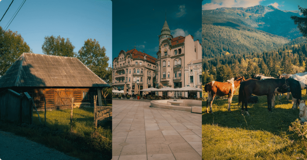 Imagine_Reprezentativa_Blog