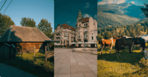 Imagine_Reprezentativa_Blog