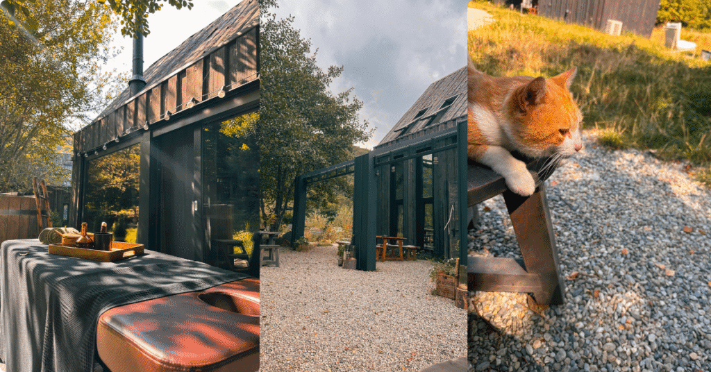 Imagine_Reprezentativa_Blog