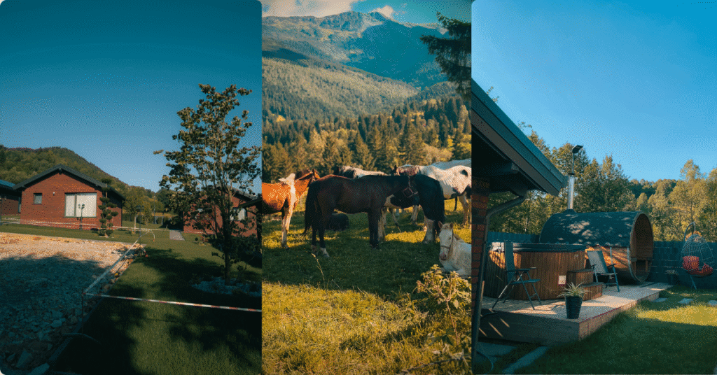 Imagine_Reprezentativa_Blog_BrickHouse Borsa