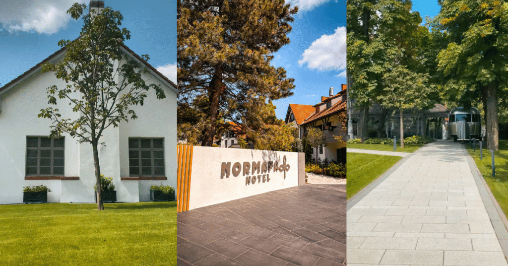 Imagine_Reprezentativa_Blog