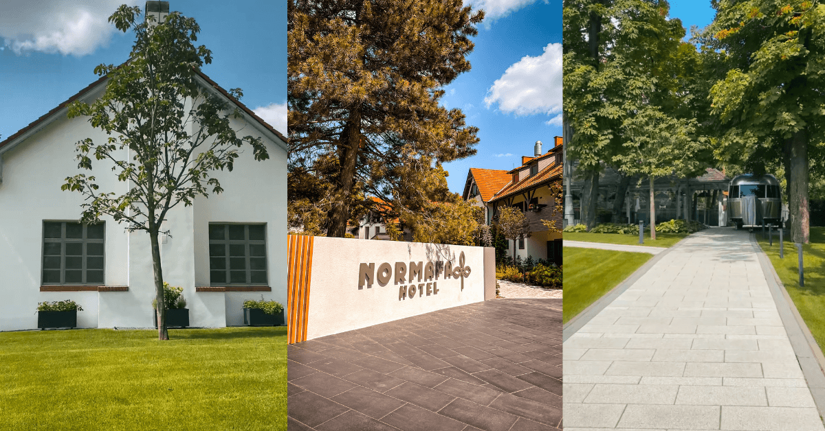 Imagine_Reprezentativa_Blog