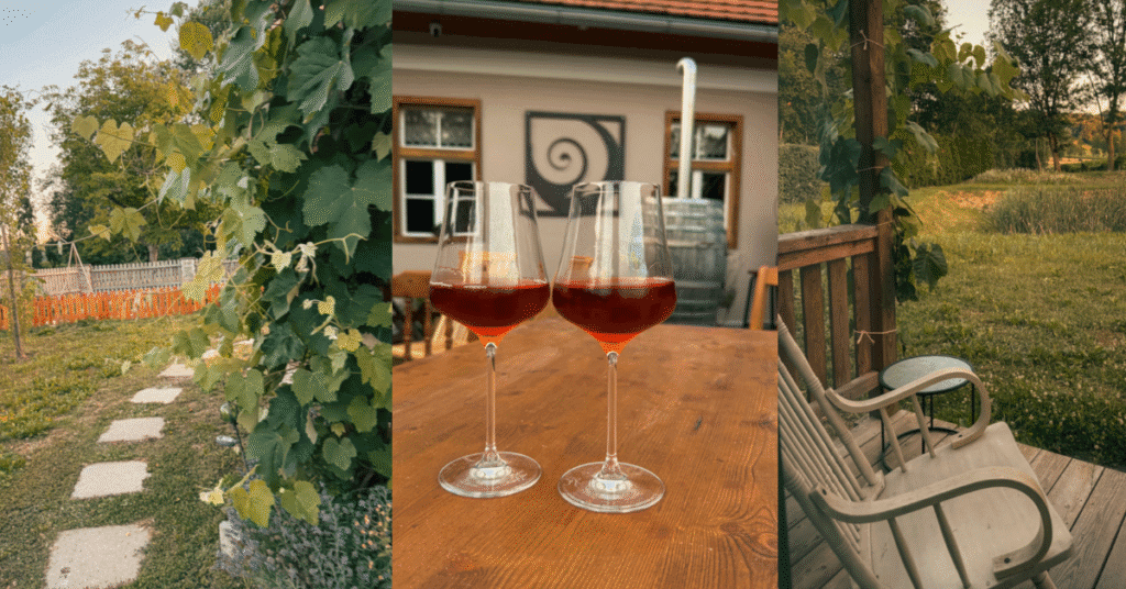 Imagine_Reprezentativa_Blog