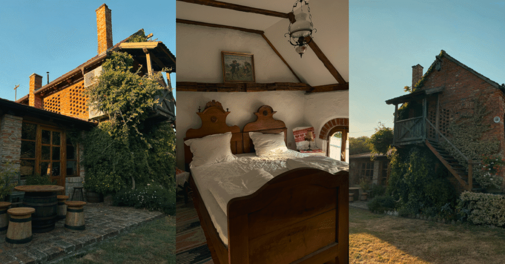 Imagine_Reprezentativa_Blog