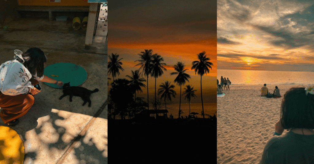 Imagine_Reprezentativa_Blog