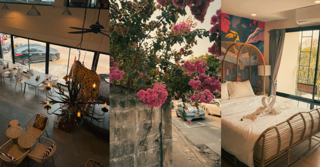 Imagine_Reprezentativa_Blog