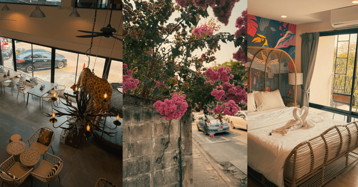 Imagine_Reprezentativa_Blog