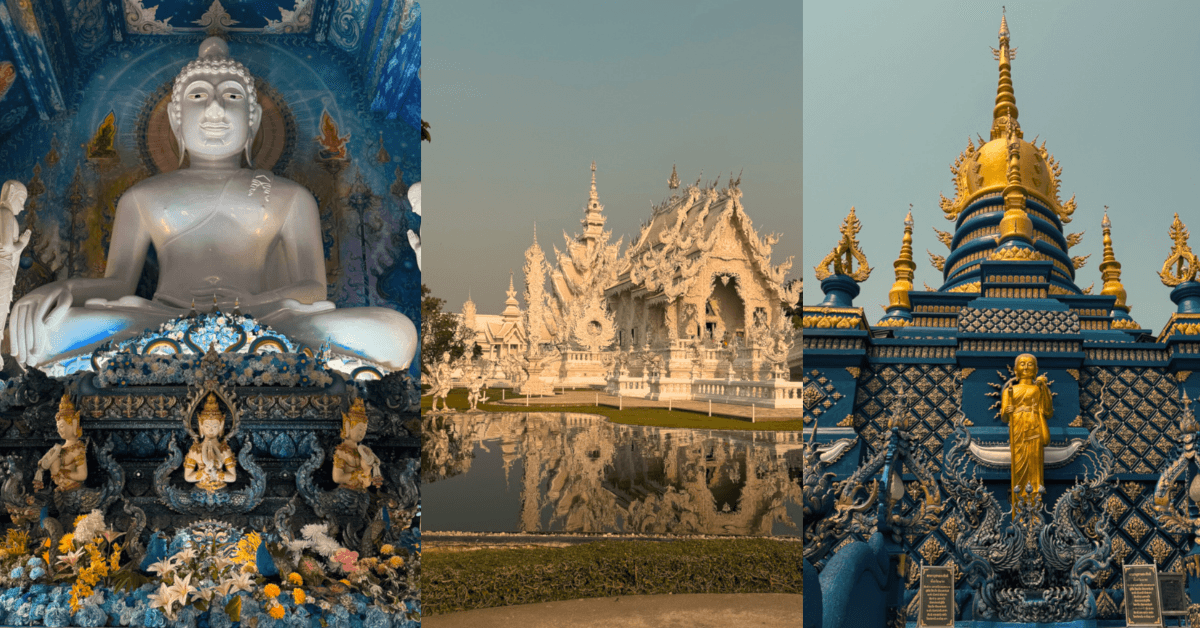 Imagine_Reprezentativa_Blog