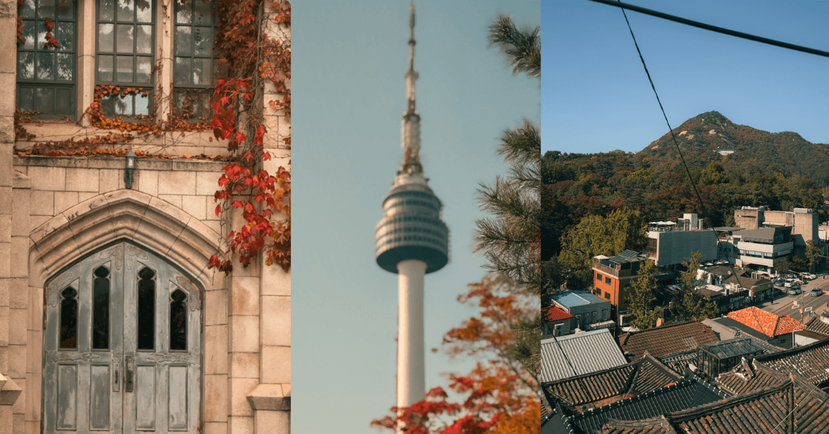 Imagine_Reprezentativa_Blog