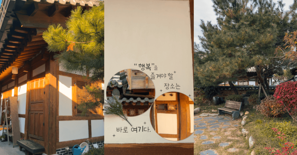 Imagine_Reprezentativa_Blog