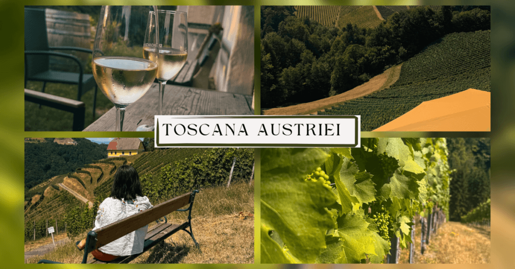 Imagine_Reprezentativa_Blog