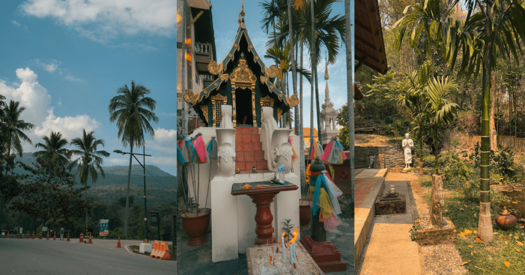 Imagine_Reprezentativa_Blog