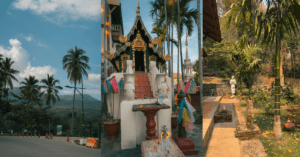 Imagine_Reprezentativa_Blog