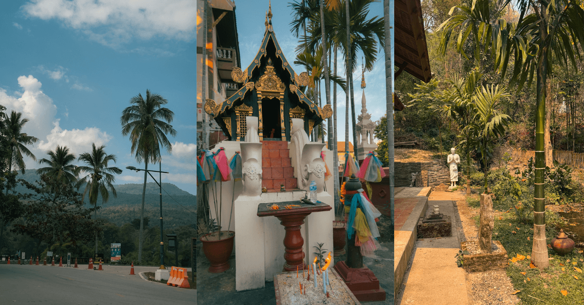 Imagine_Reprezentativa_Blog