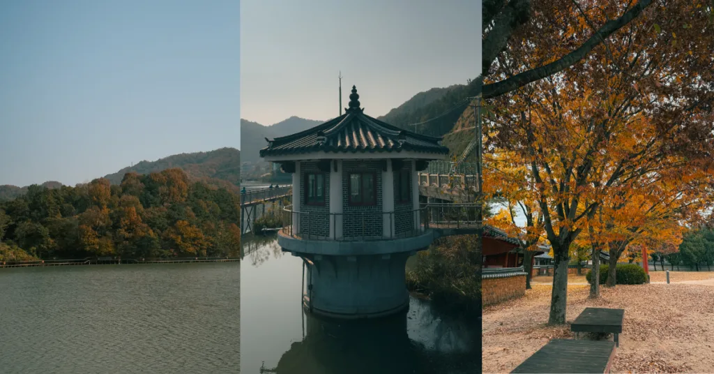 Imagine_Reprezentativa_Blog