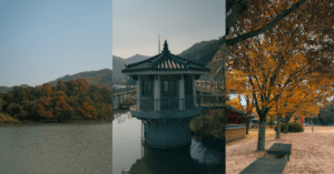 Imagine_Reprezentativa_Blog