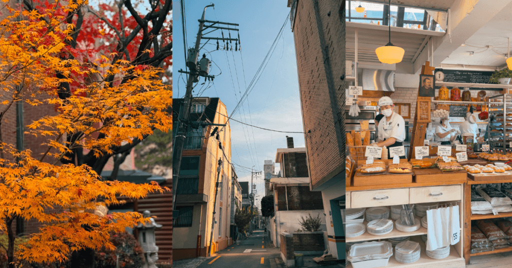 Imagine_Reprezentativa_Blog