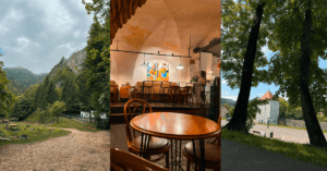 Imagine_Reprezentativa_Blog