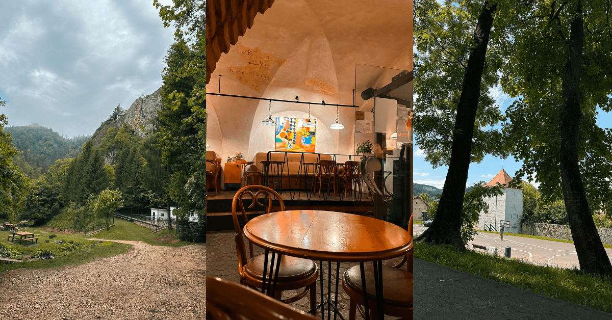 Imagine_Reprezentativa_Blog